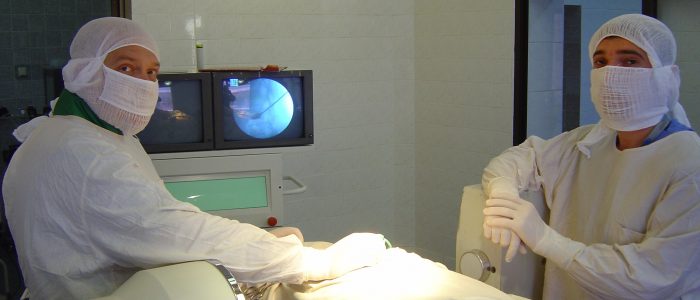 Omurgarni mustahkamlash