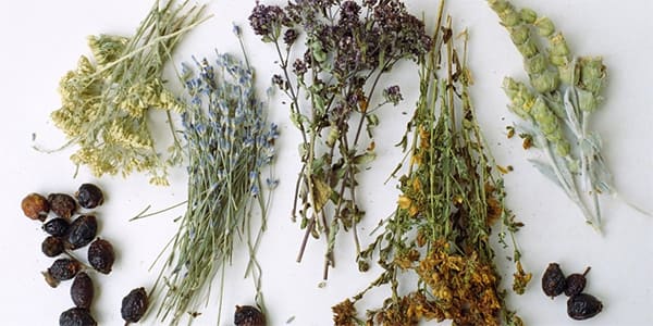 Odamlarning davolanish usullarini olib tashlash